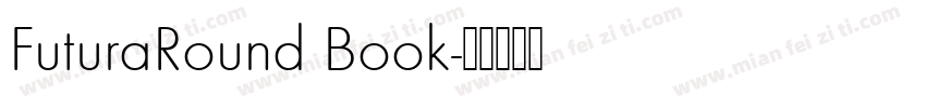 FuturaRound Book字体转换